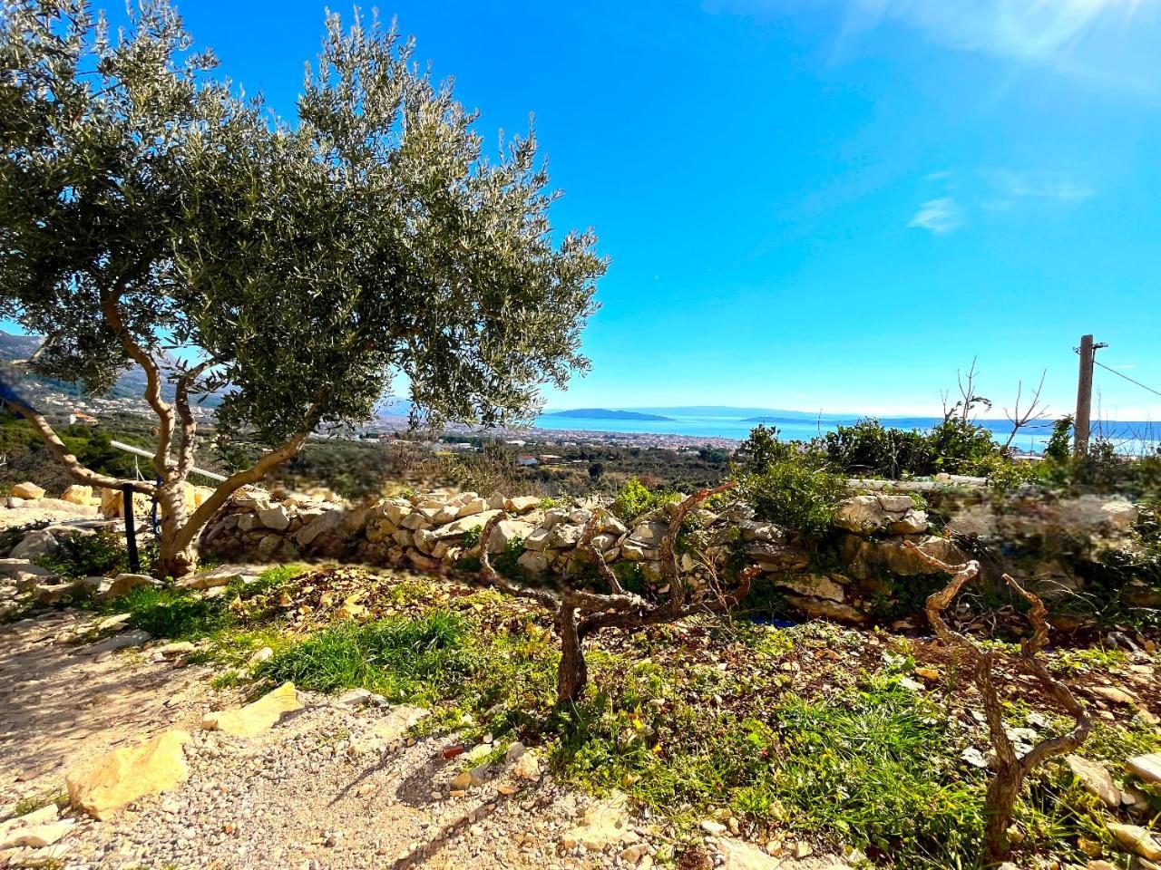 Villa Bepina, Surrounded By Sea, Olive, Vineyard Kastel Novi Exterior photo