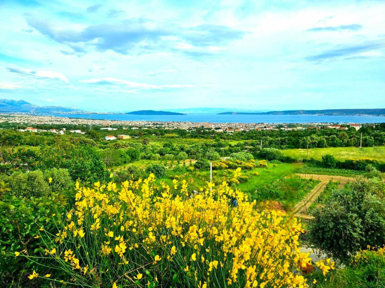 Villa Bepina, Surrounded By Sea, Olive, Vineyard Kastel Novi Exterior photo